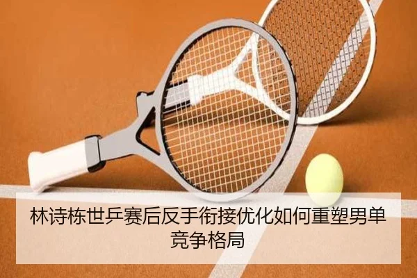 林诗栋世乒赛后反手衔接优化如何重塑男单竞争格局
